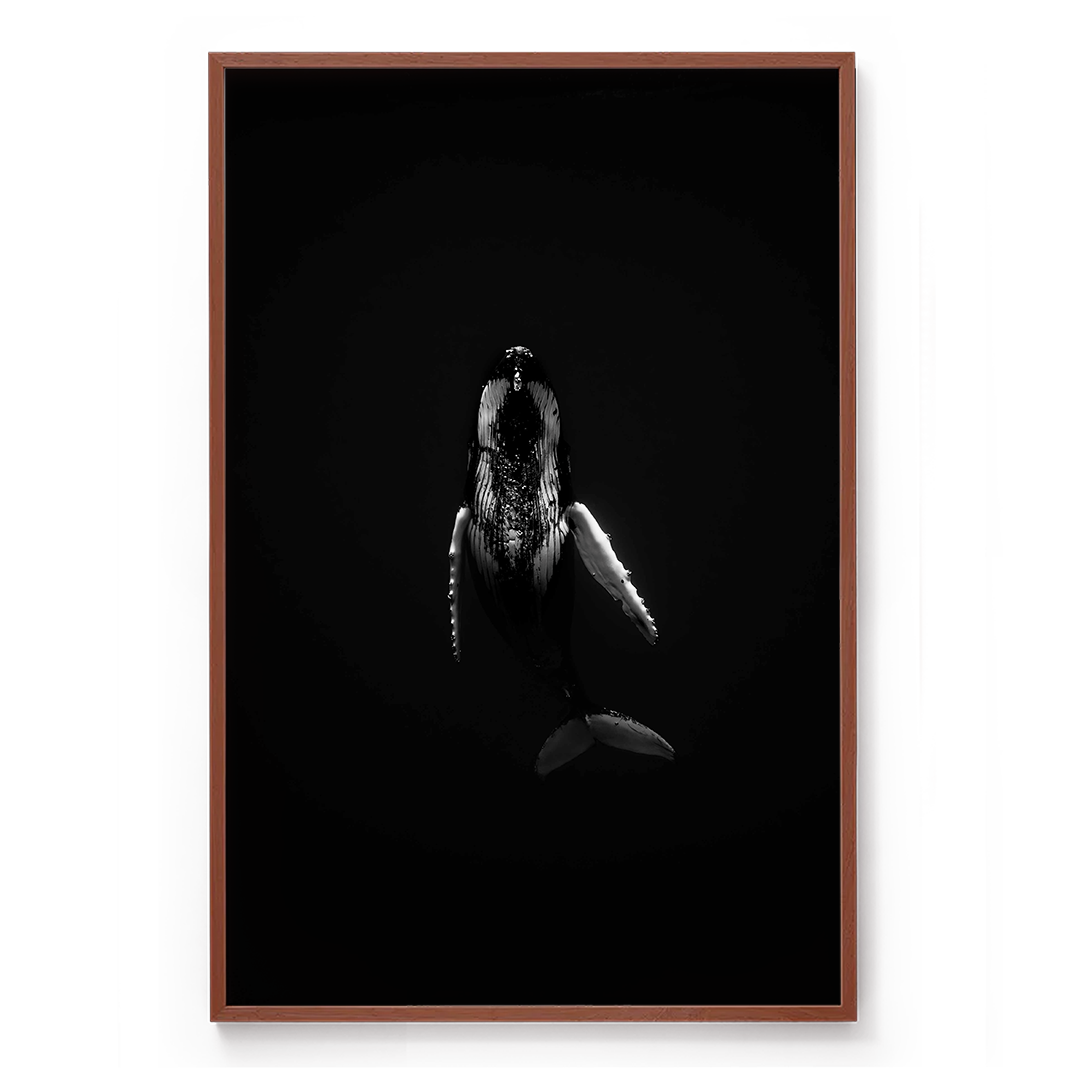Guardian