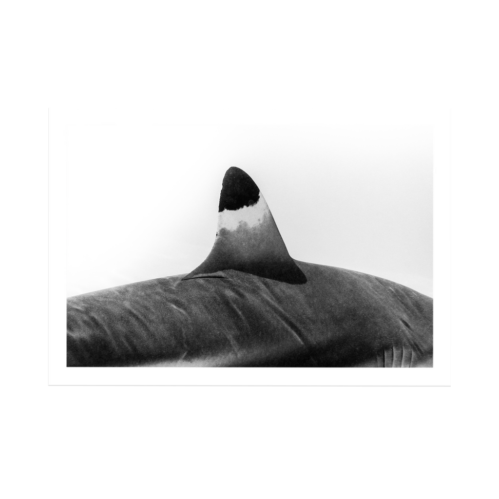 Spearhead