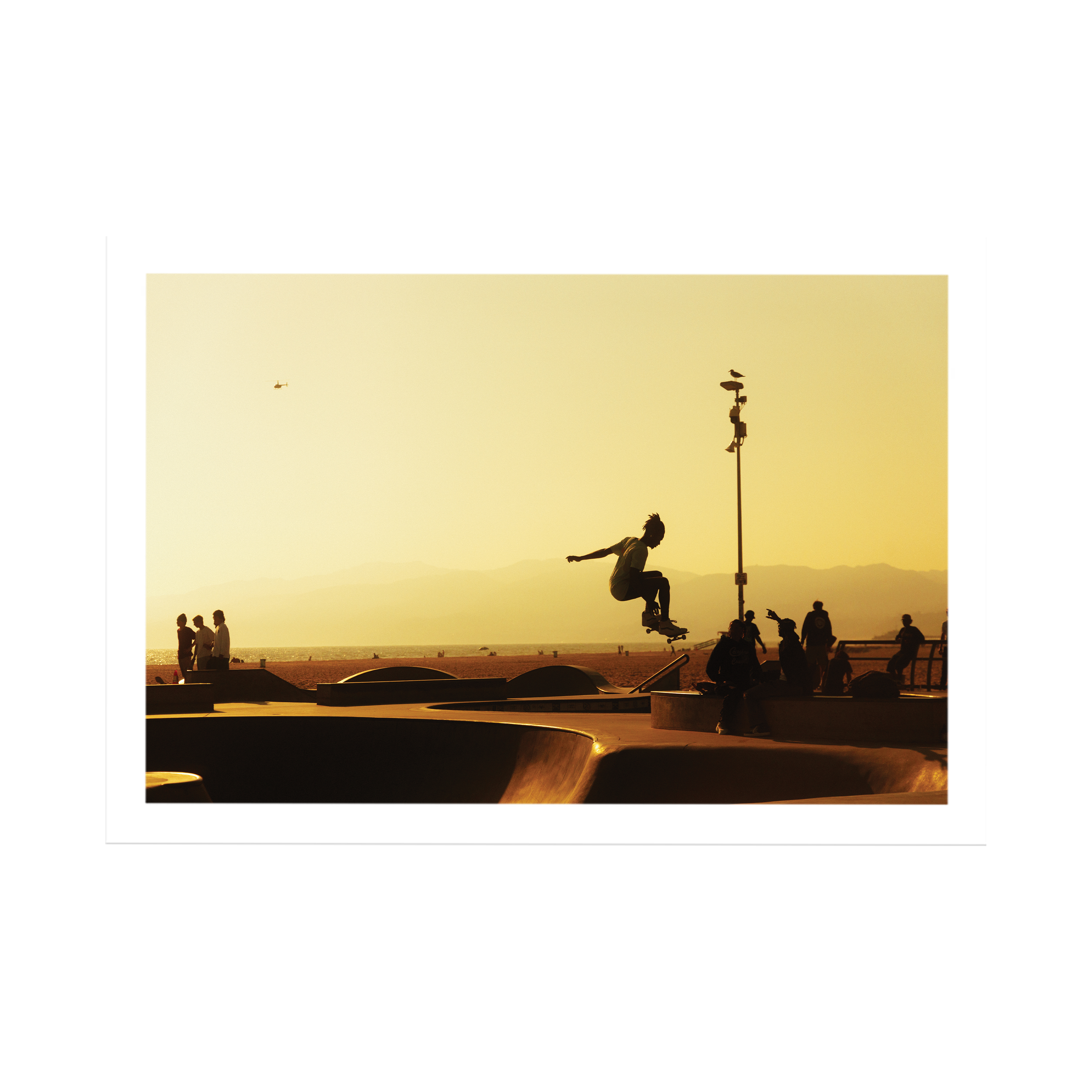 Take Flight