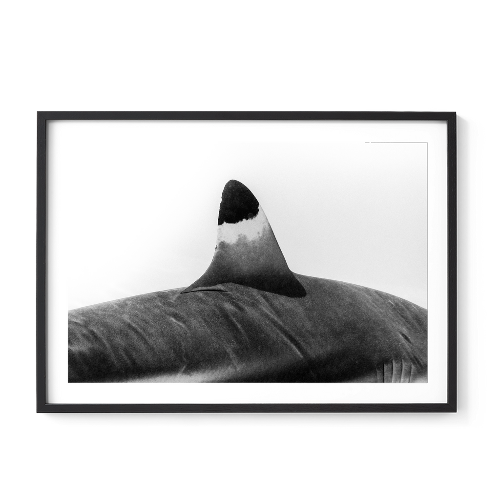 Spearhead