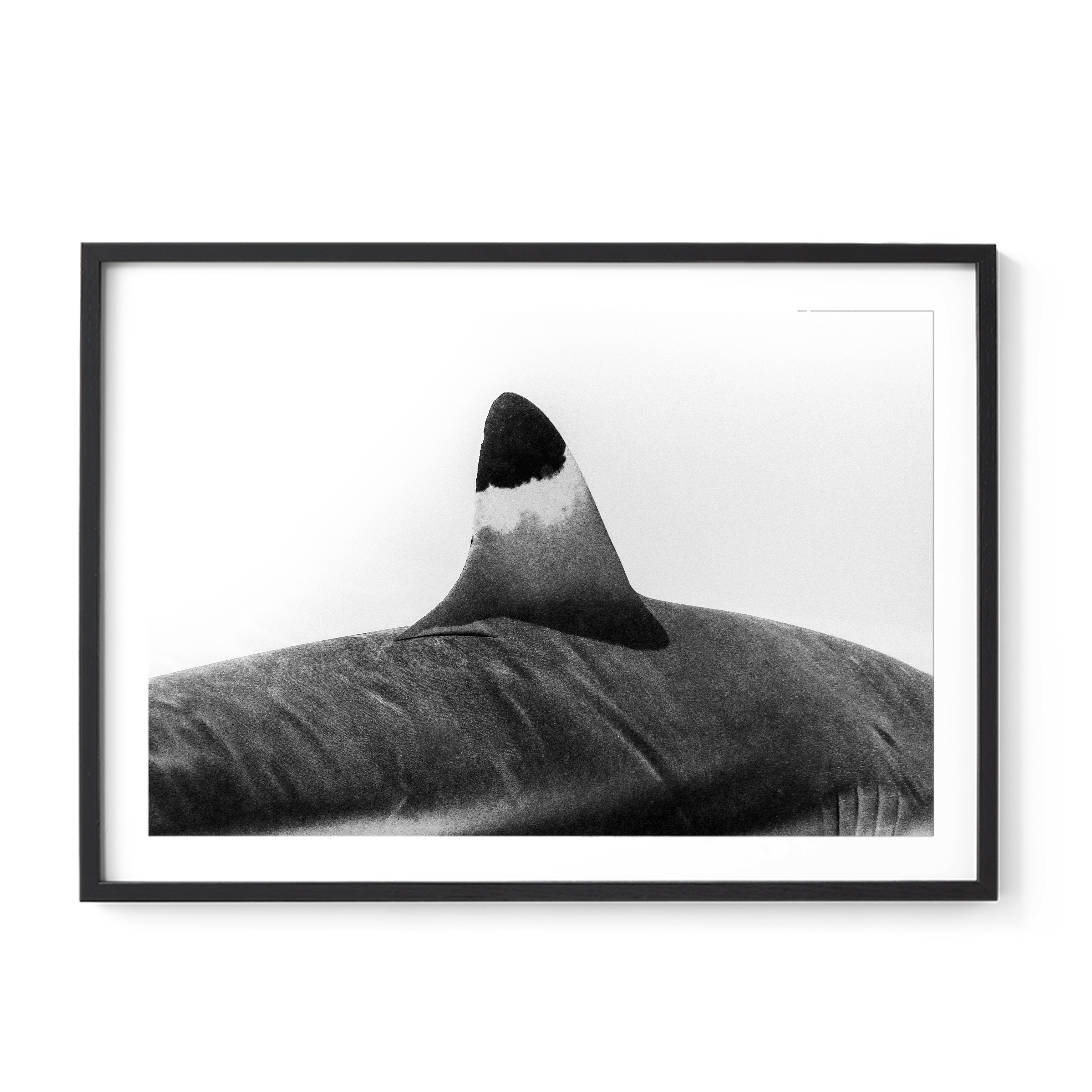 Spearhead