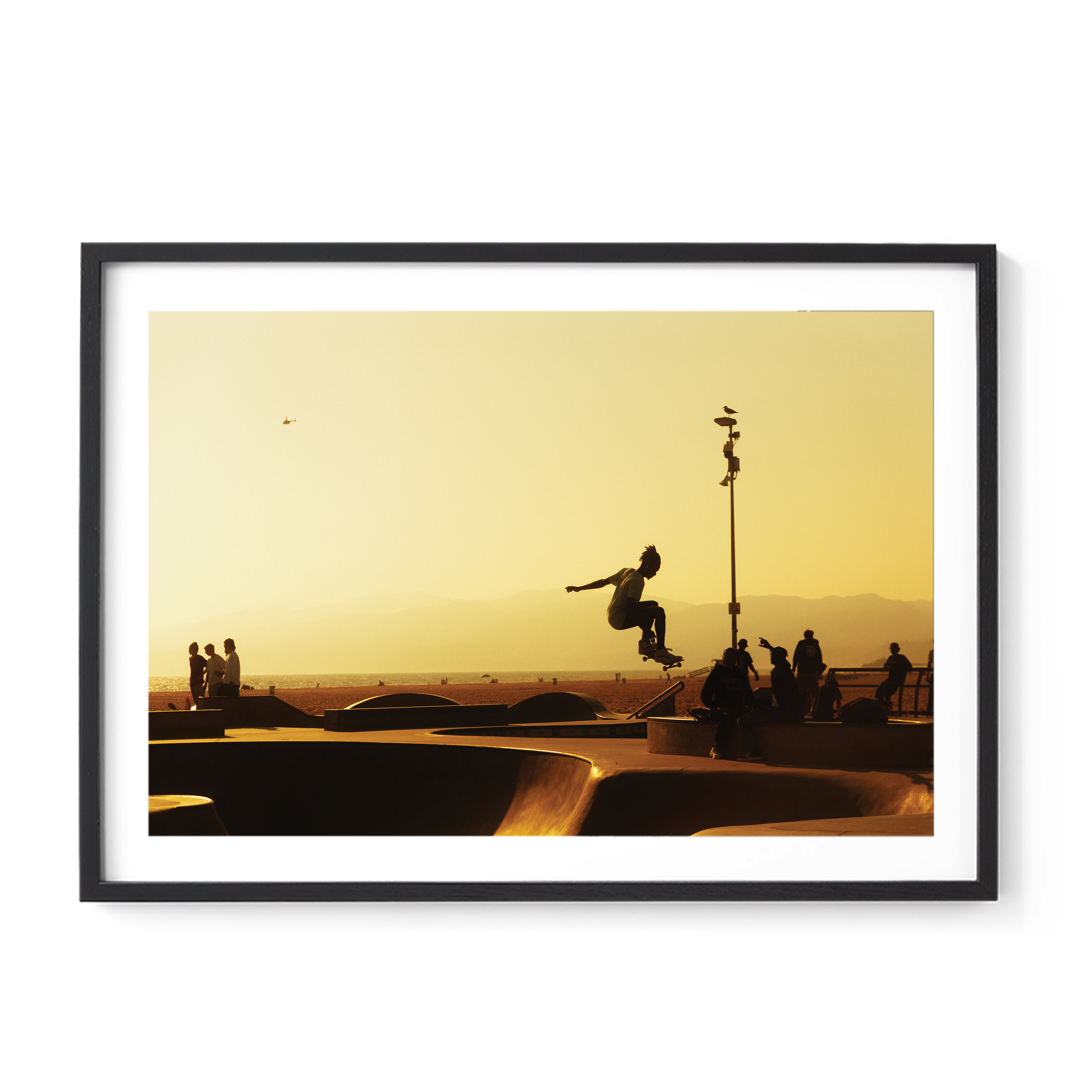 Take Flight