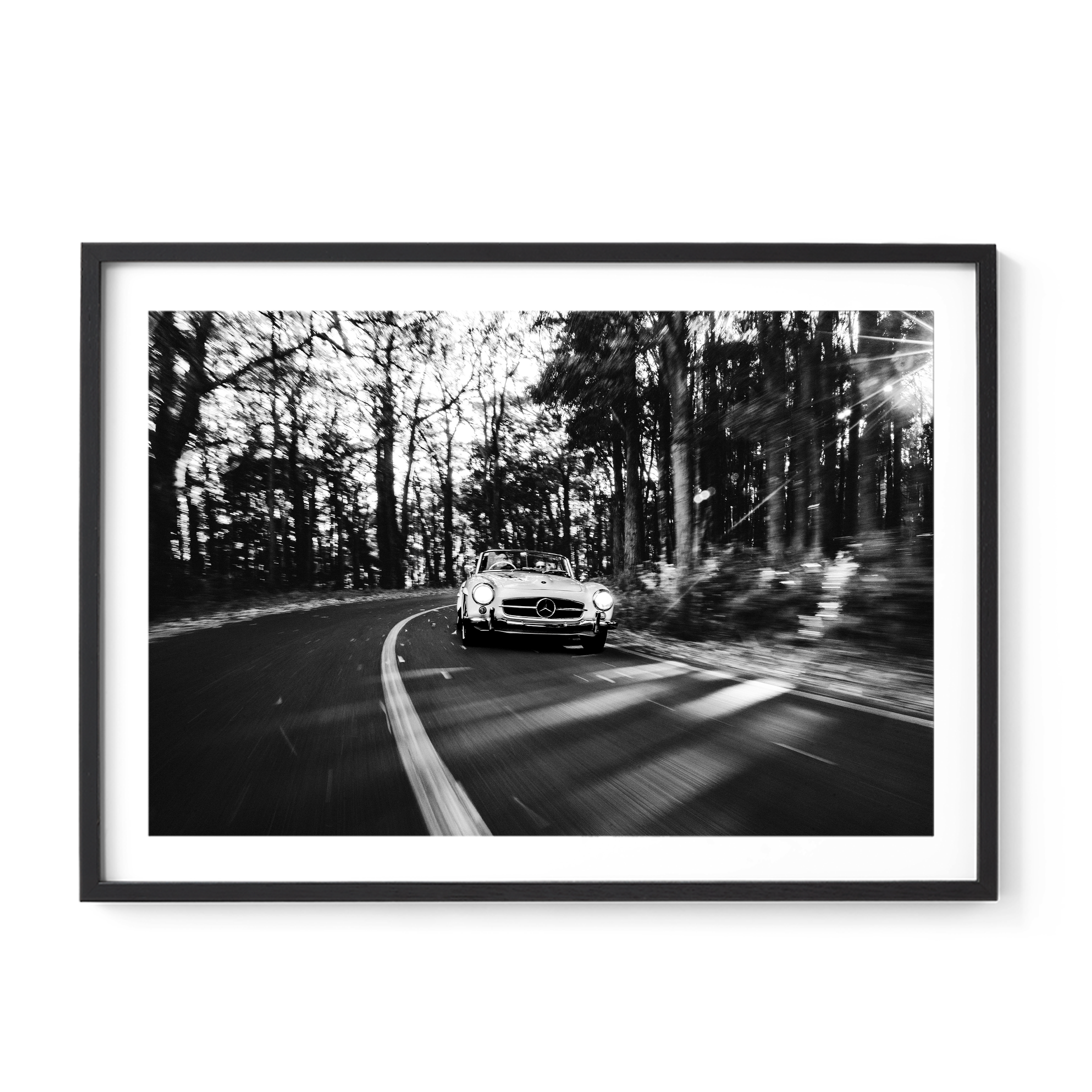 Road Trip