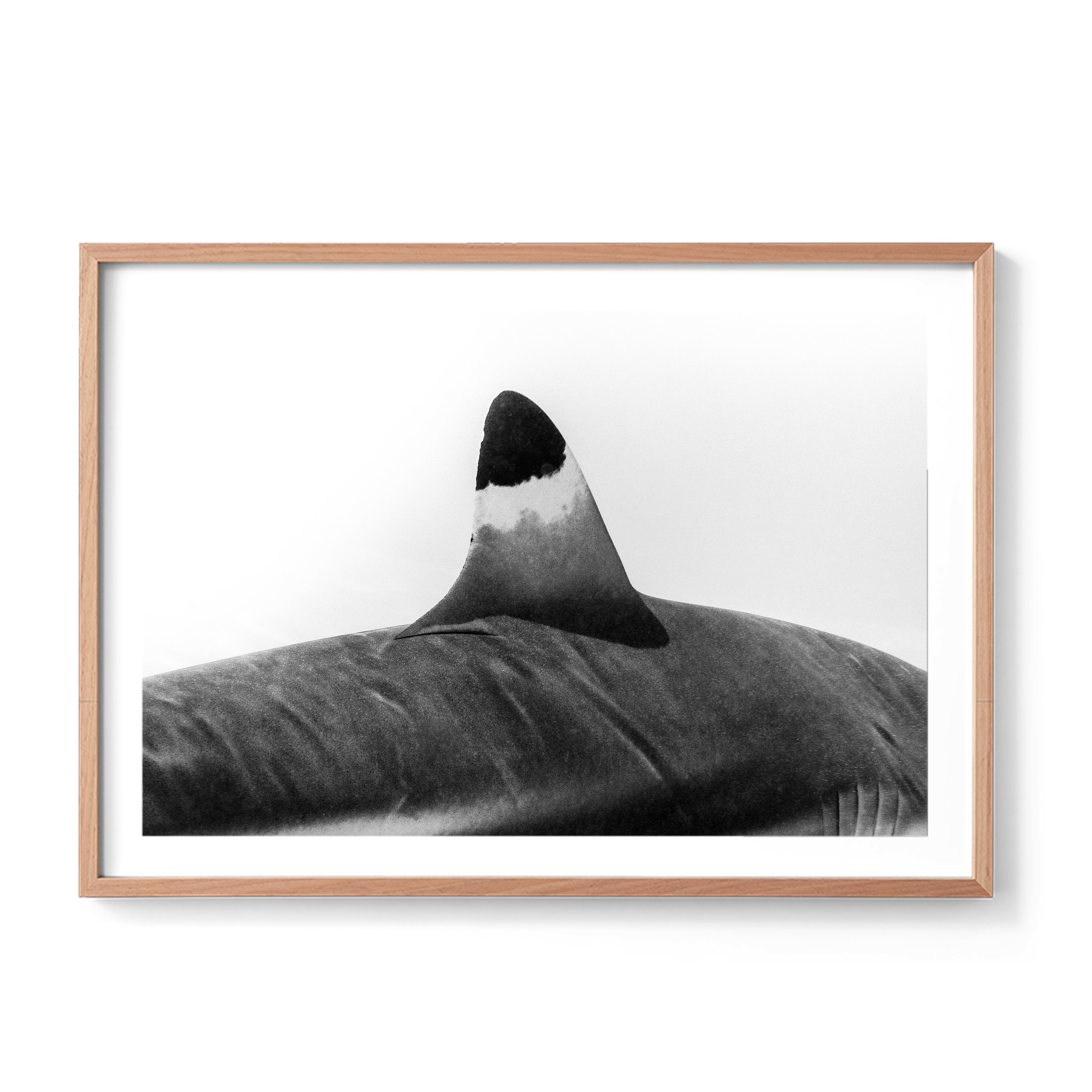 Spearhead