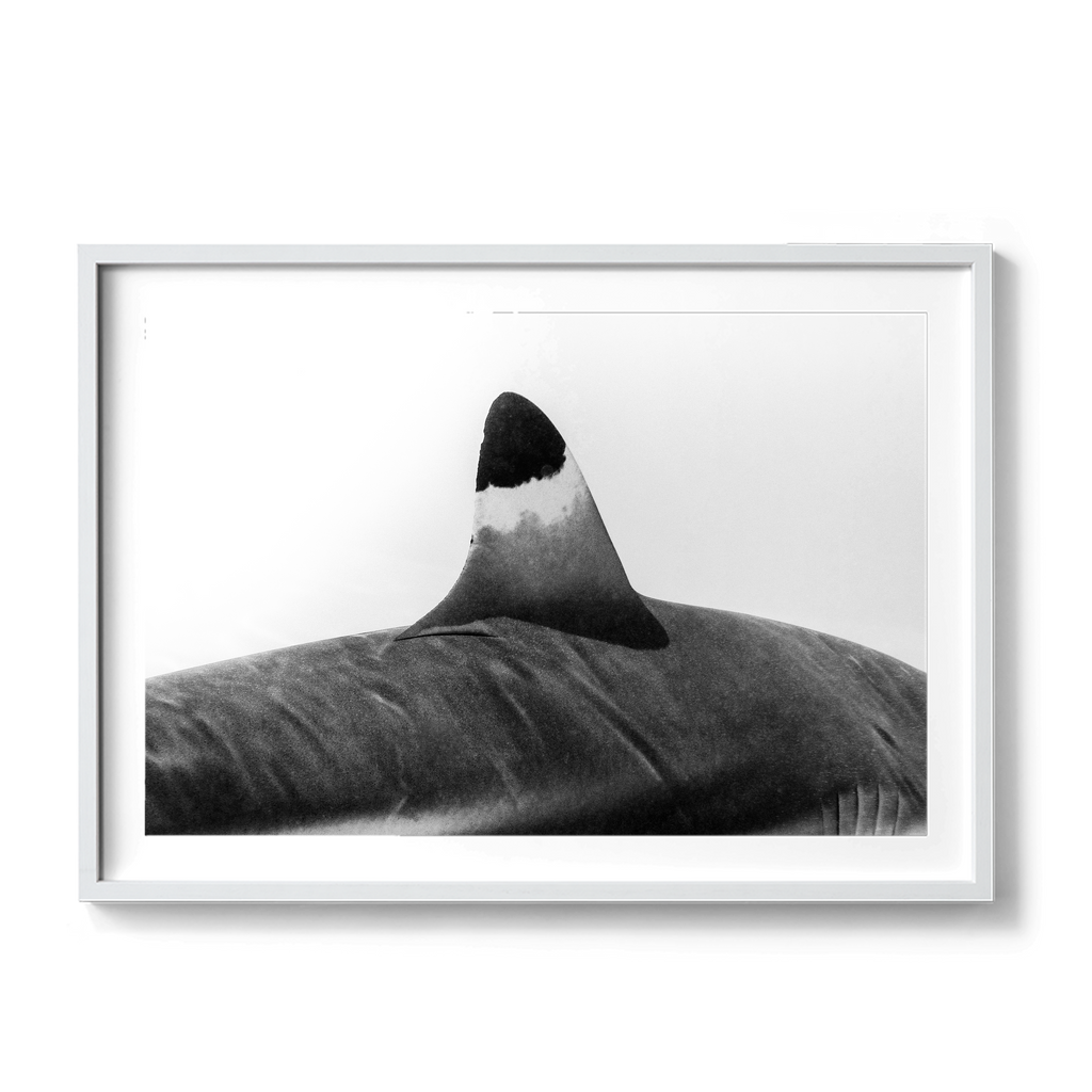 Spearhead