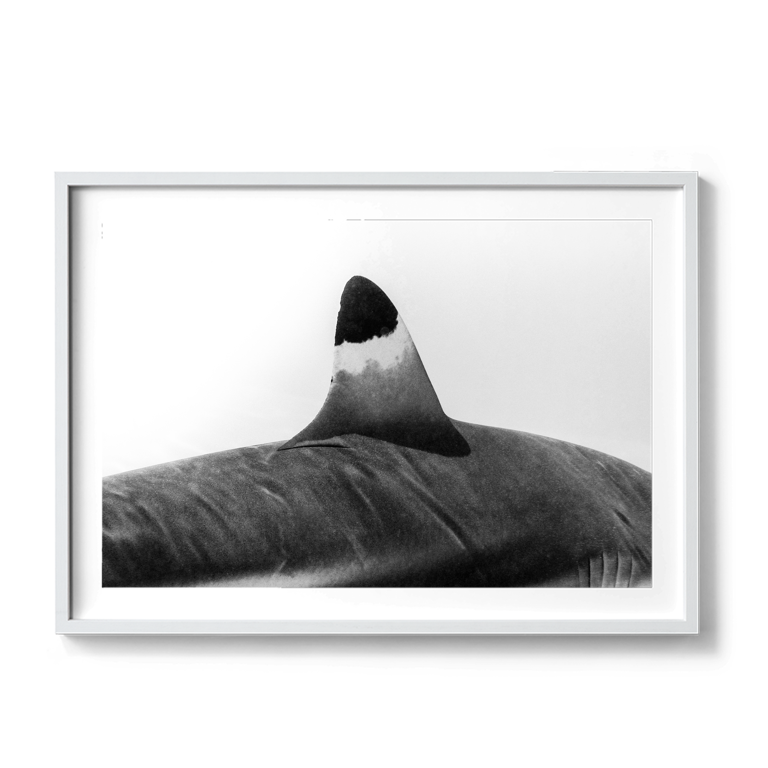 Spearhead