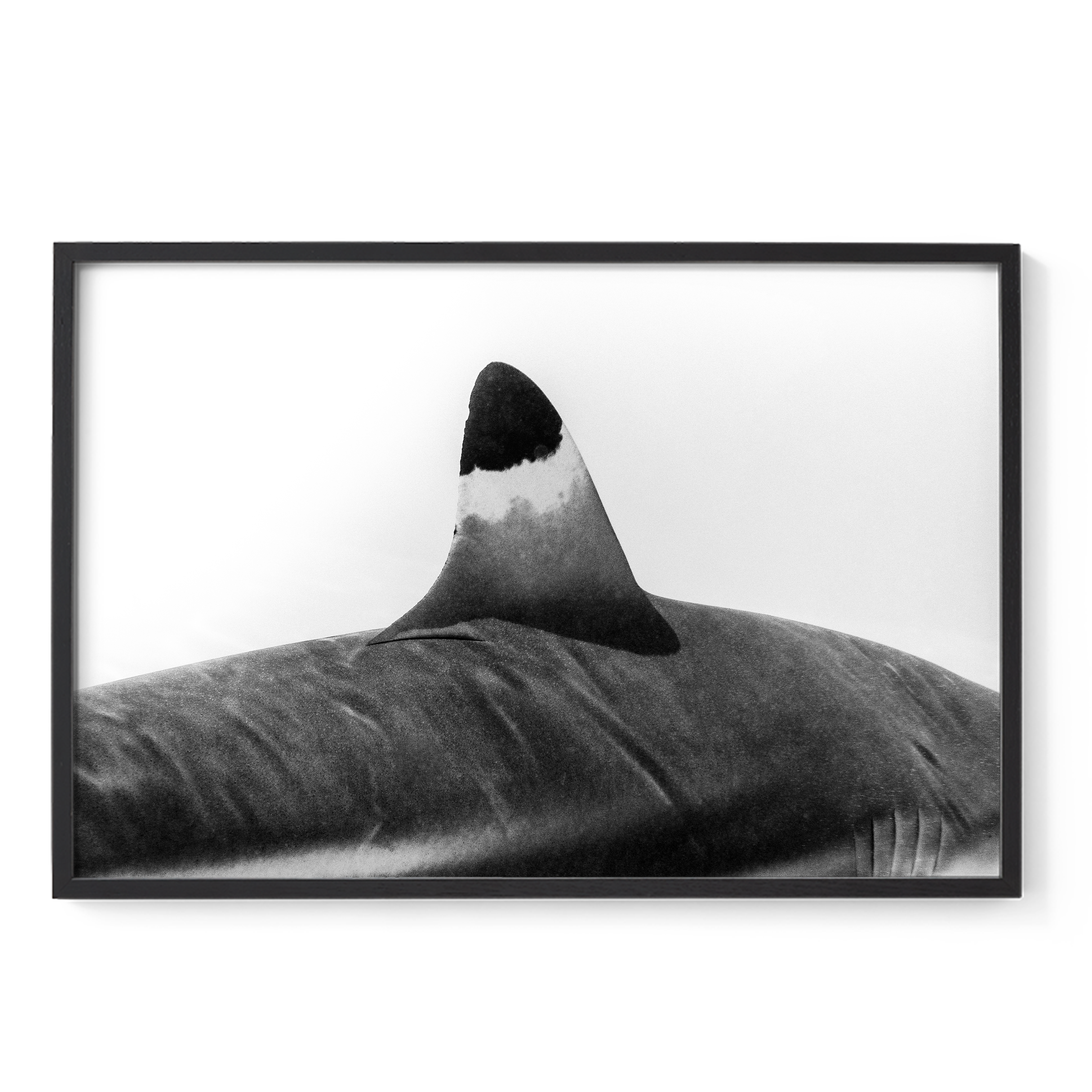 Spearhead