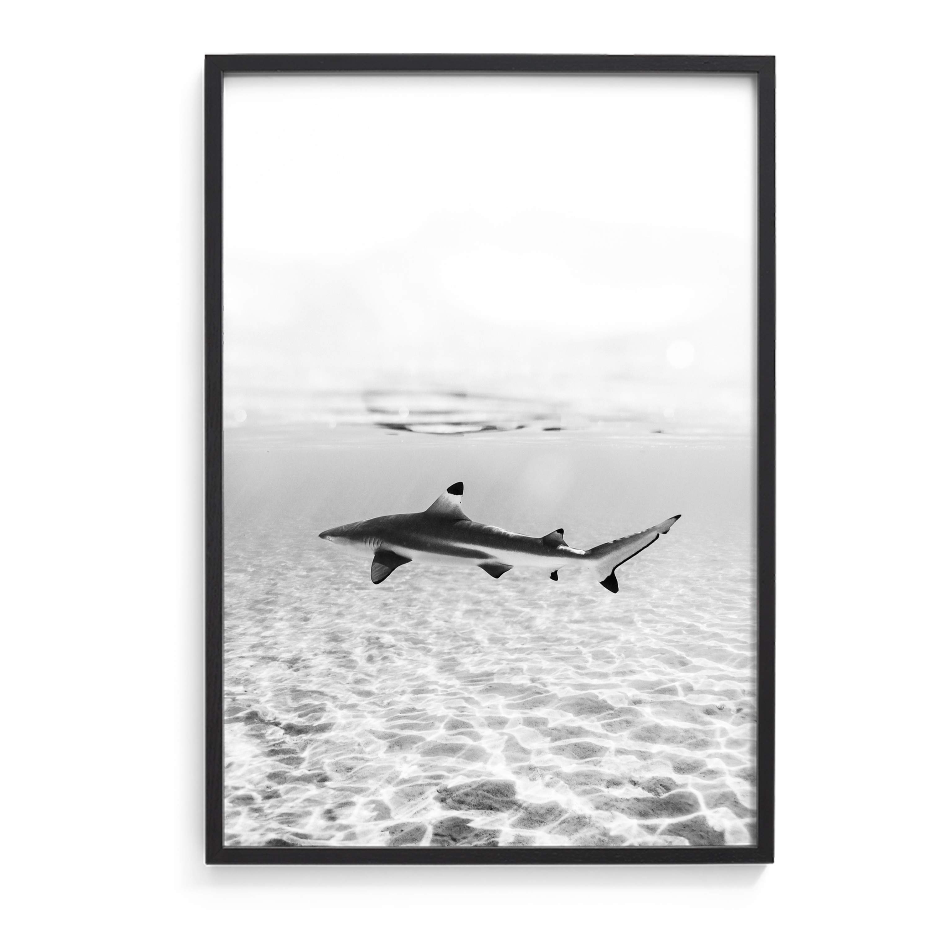 Clarity
