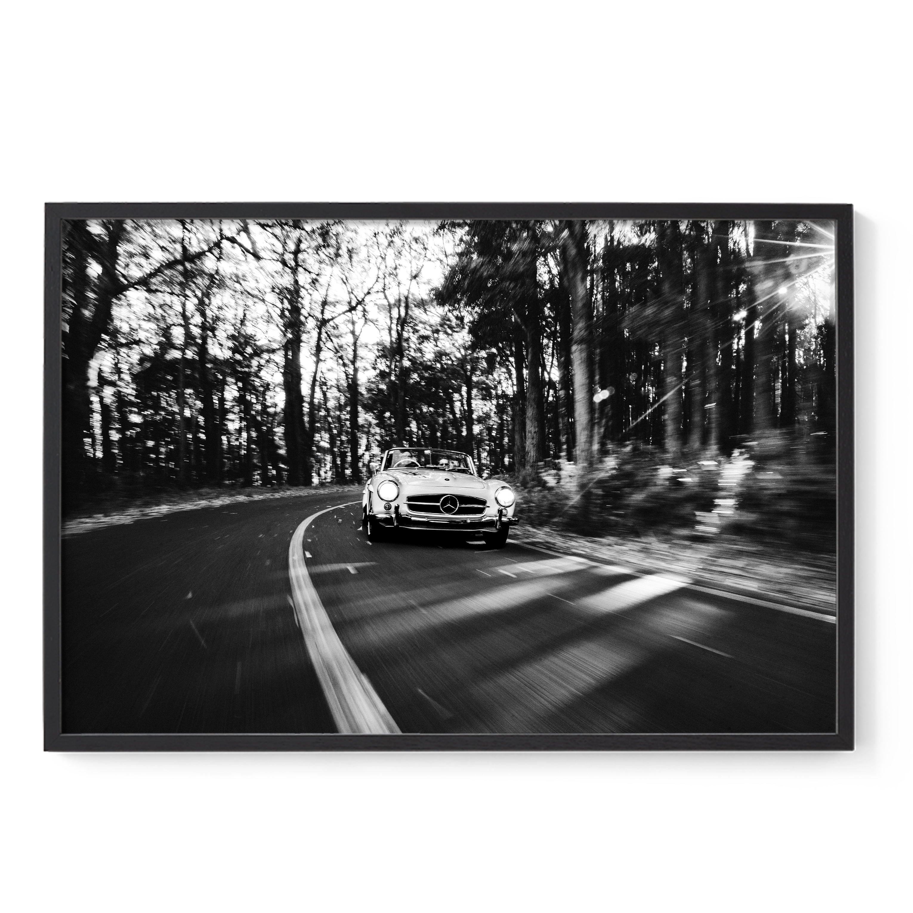 Road Trip