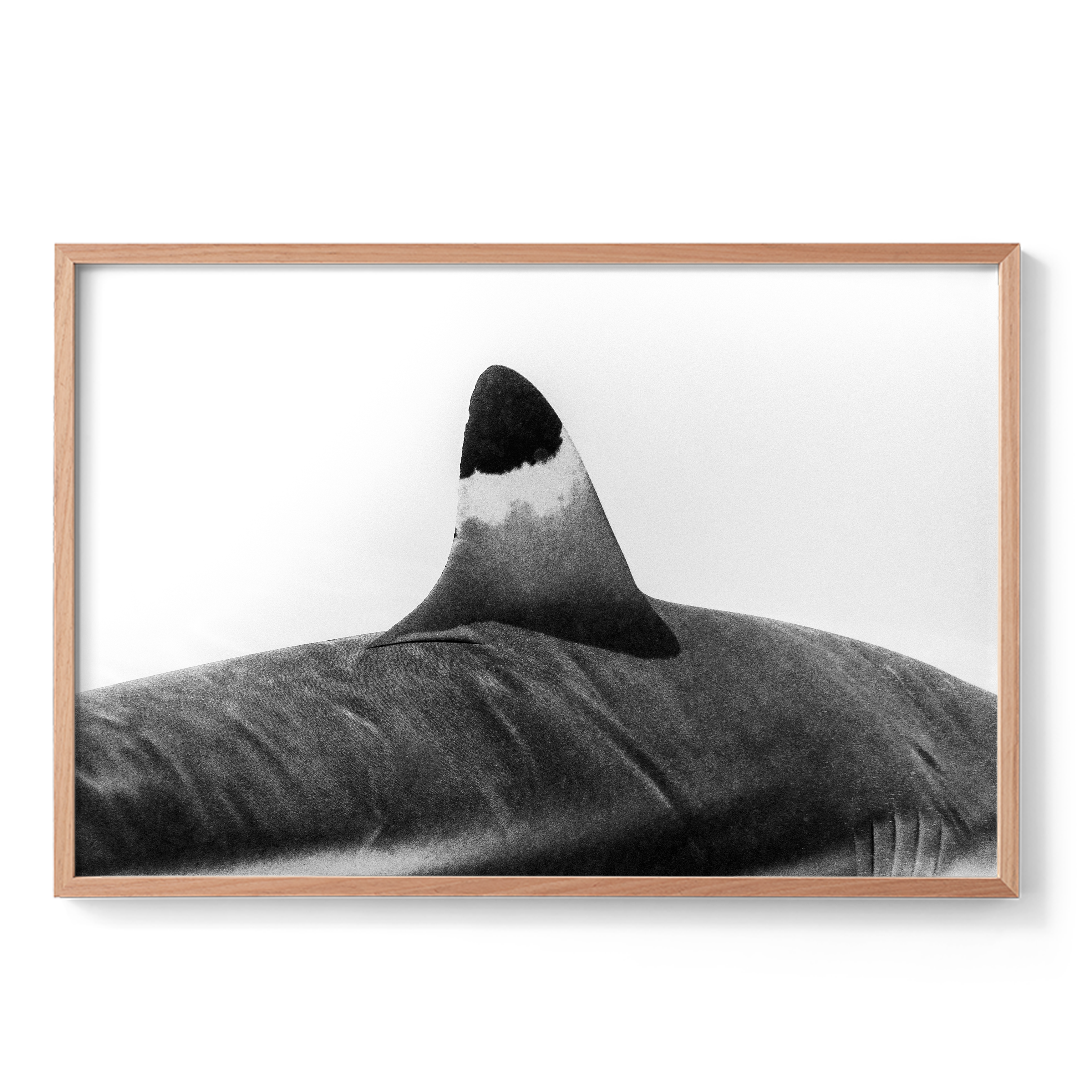 Spearhead