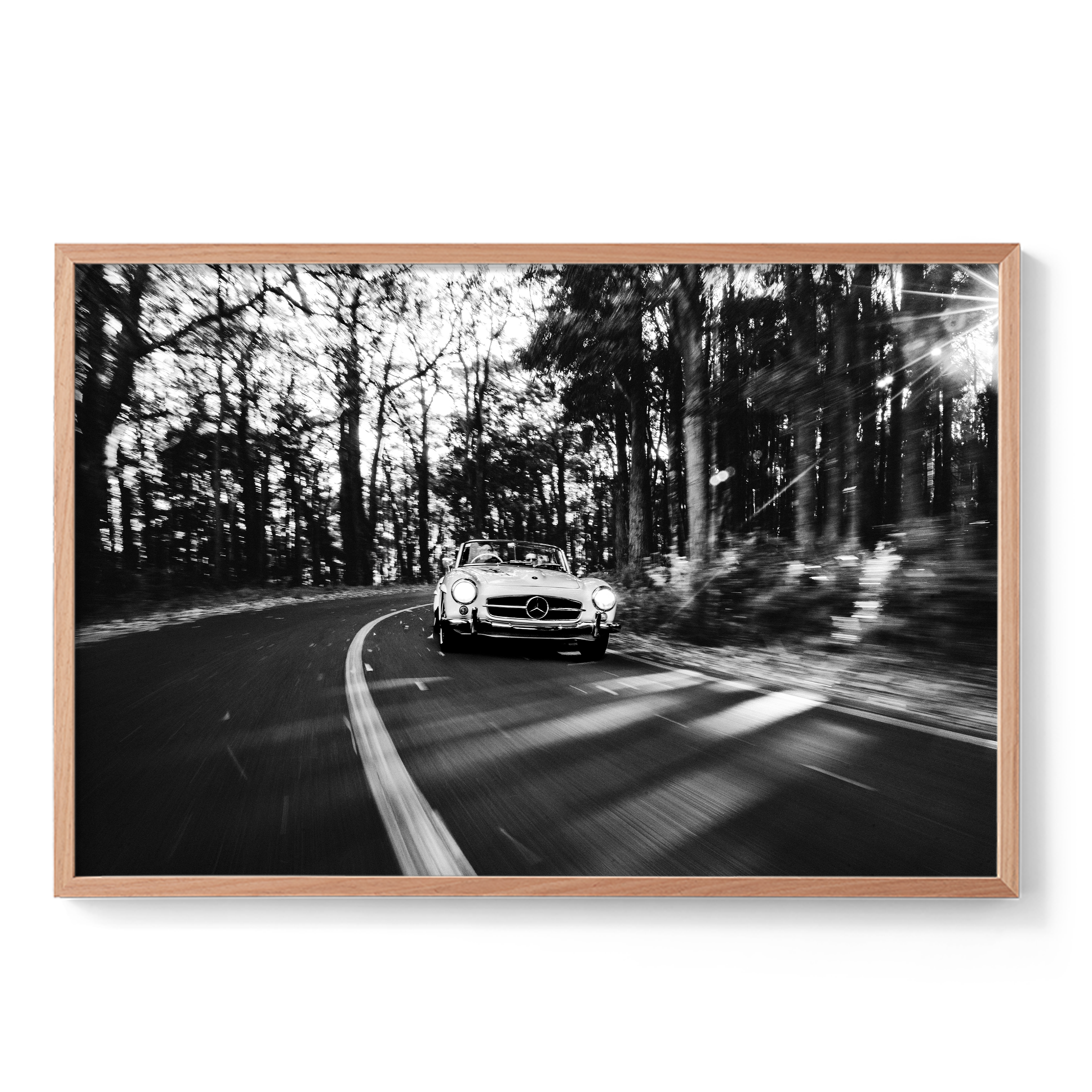 Road Trip