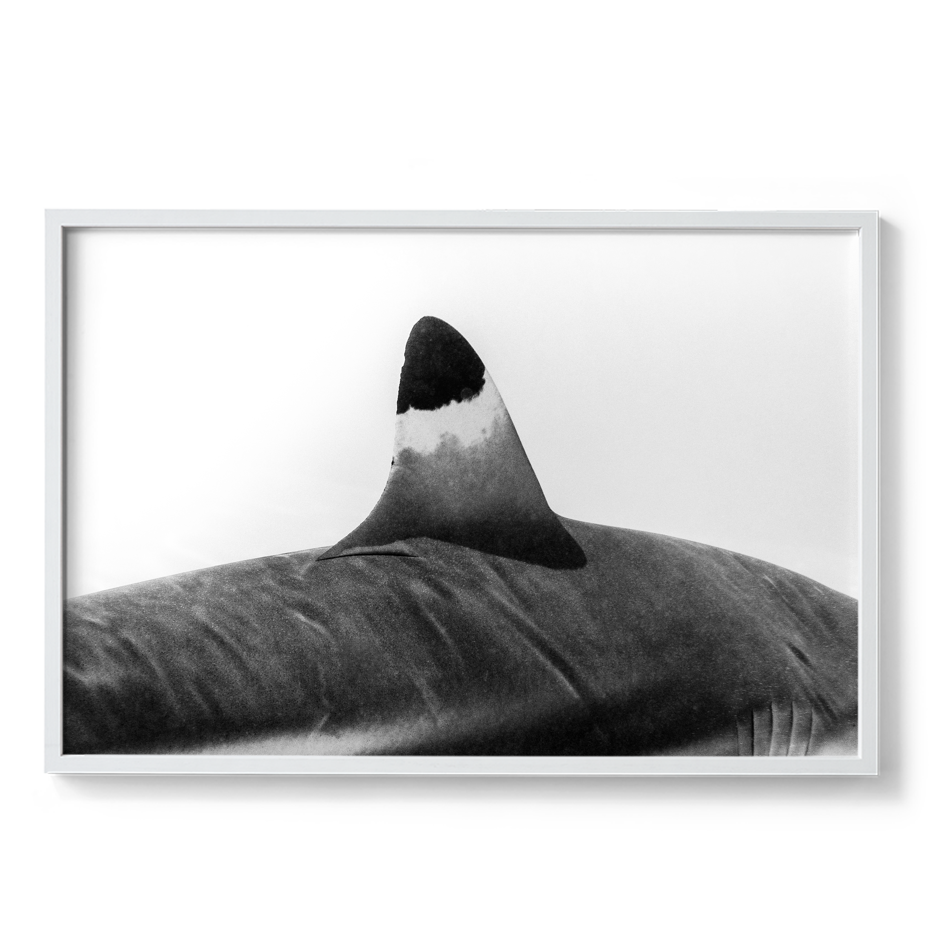Spearhead