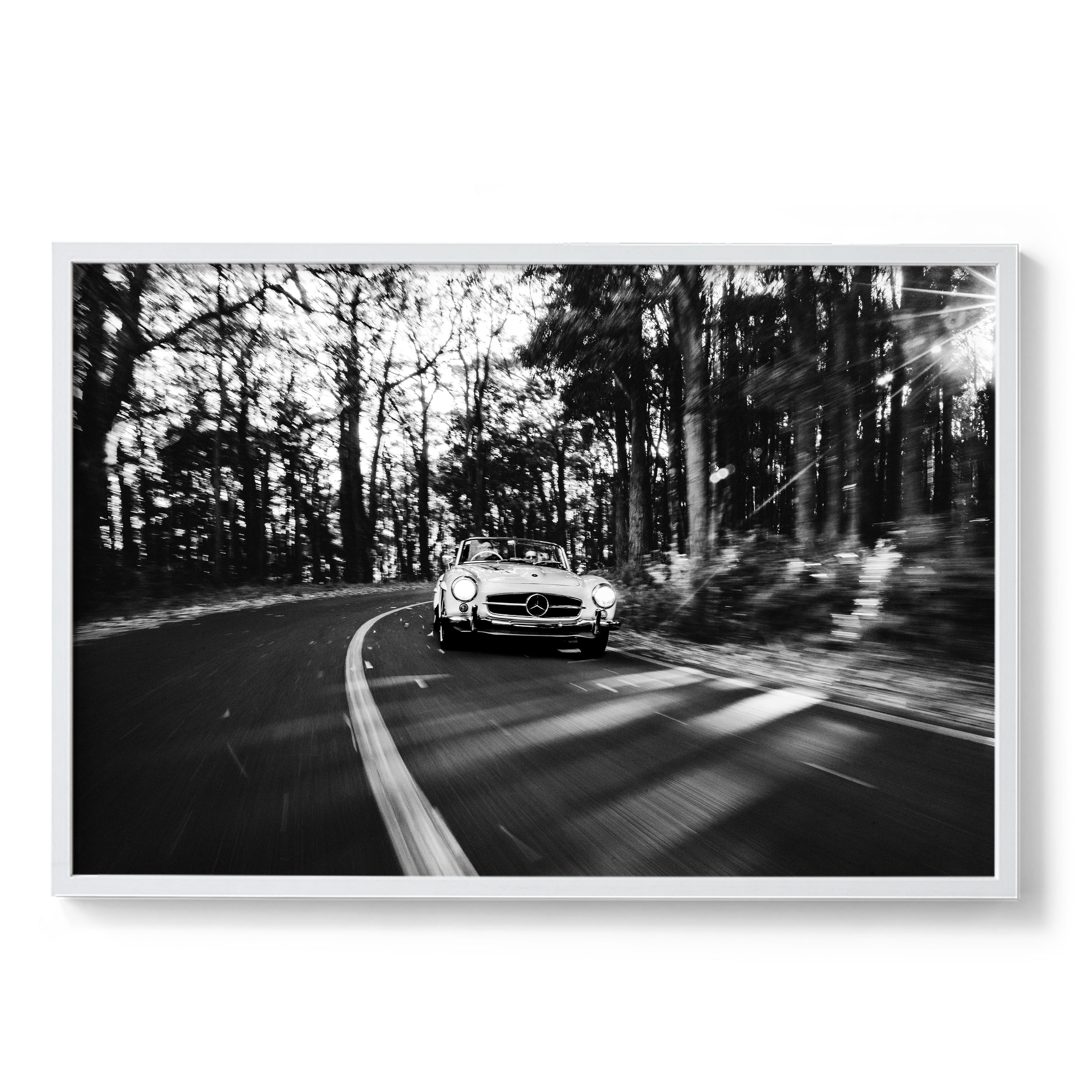 Road Trip
